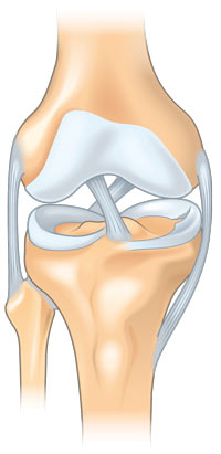 Knee injury